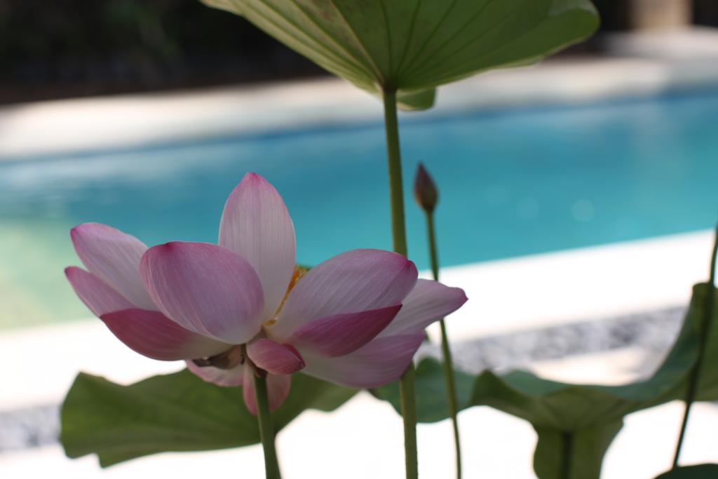 Villa Alu Lima Seminyak  Bilik gambar