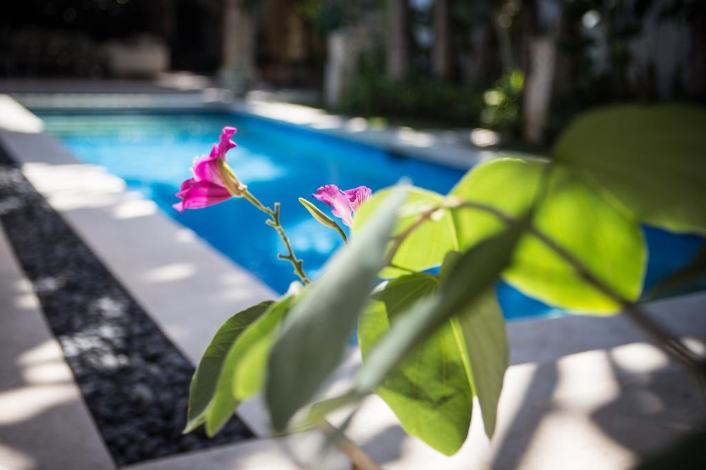 Villa Alu Lima Seminyak  Bilik gambar